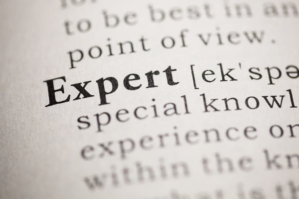 Dictionary entry for the word "Expert"