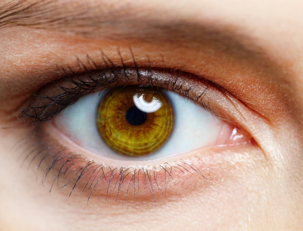 Close-up of an eye, boost search engine ranking with an eye on SEO tactics. 