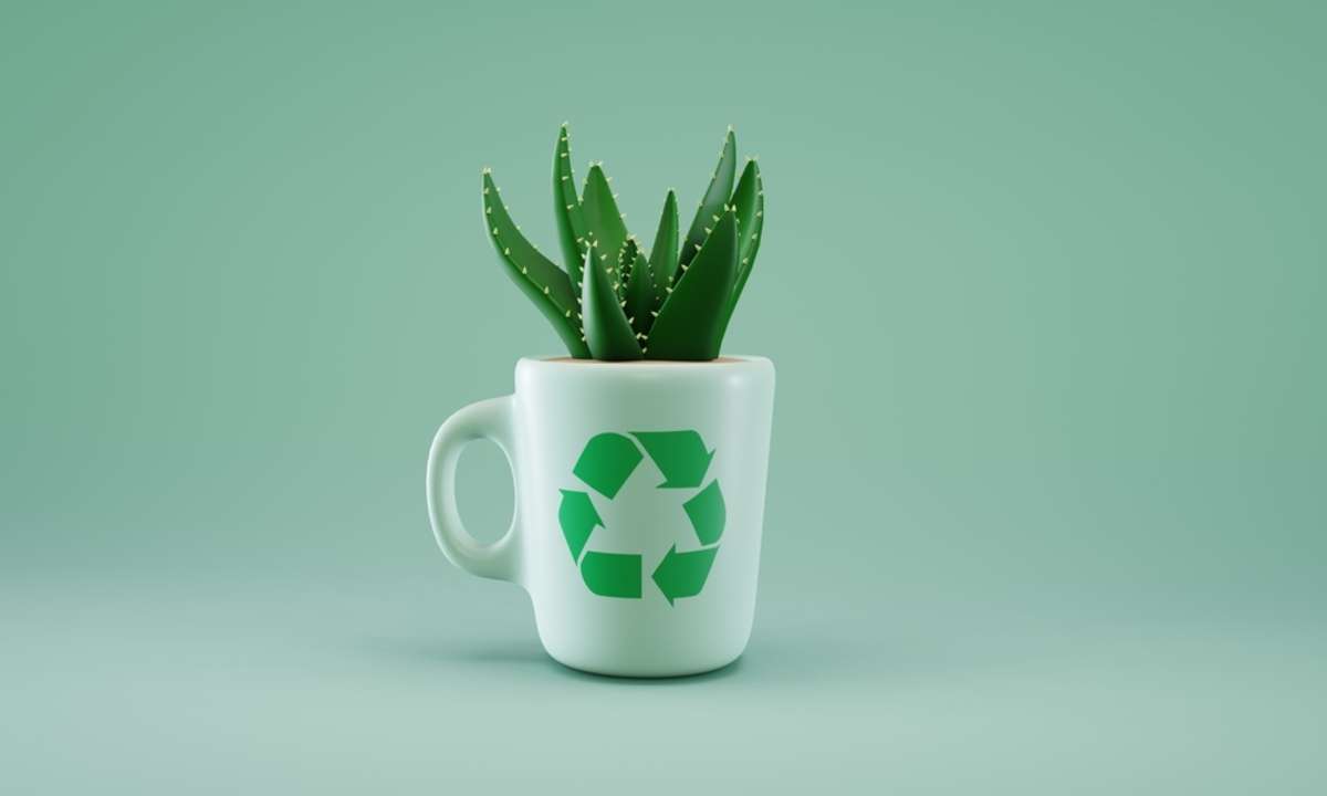 recycled mug used as pot for succulent house plant